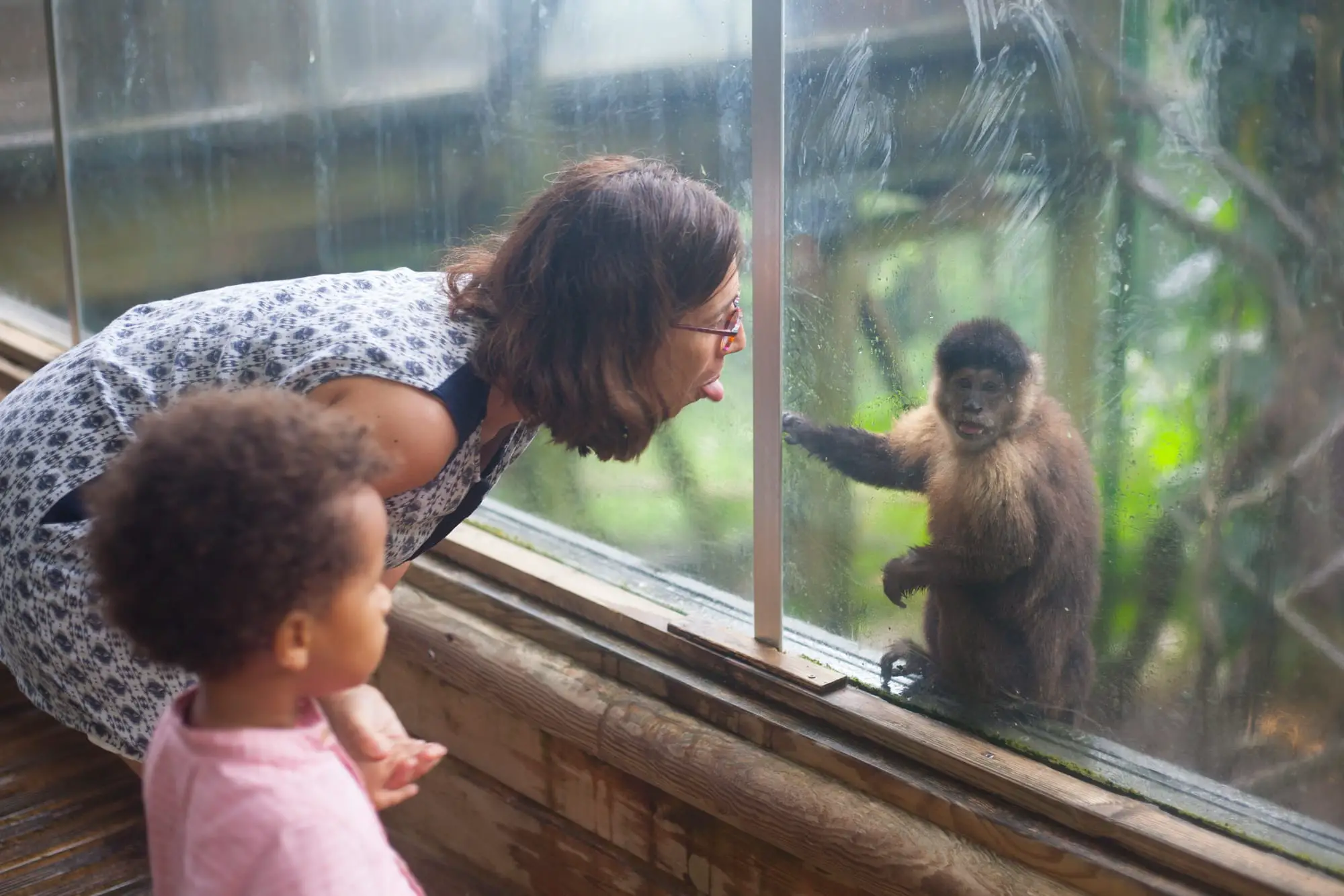 Une activité en famille ludique : la visite du zoo de Guadeloupe