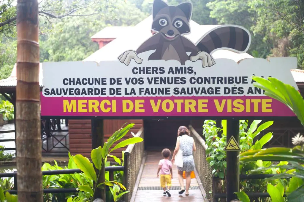 Fin de notre activité en famille : la visite du zoo de Guadeloupe