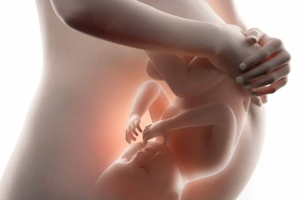 95% des bébés ont la tête en bas au neuvième mois de grossesse